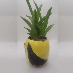 Ceramic Bowl 22